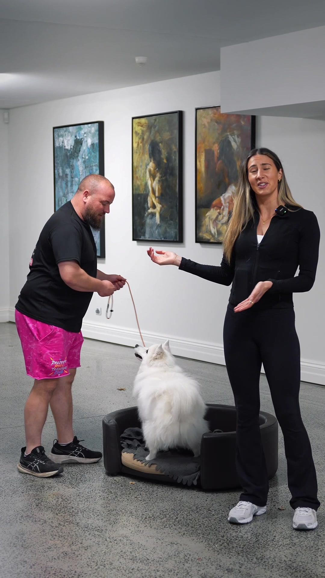 Chris working with a white dog on a bed during a training demonstration
